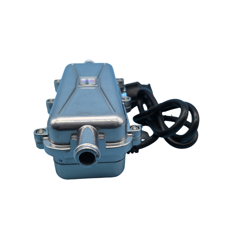 JP 220V 3000W Auto Engine Coolant Heater New Car Motor Preheater