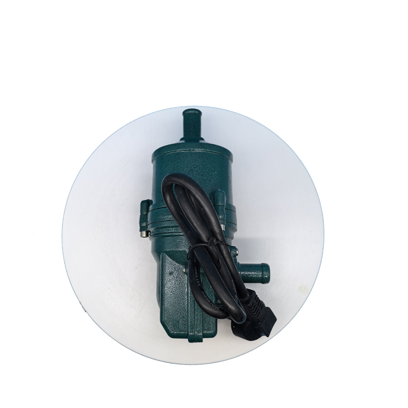 JP 220V 3KW 220V Auto Electric Engine Preheater High Quality Thermostat Auto Car Trucks SUV