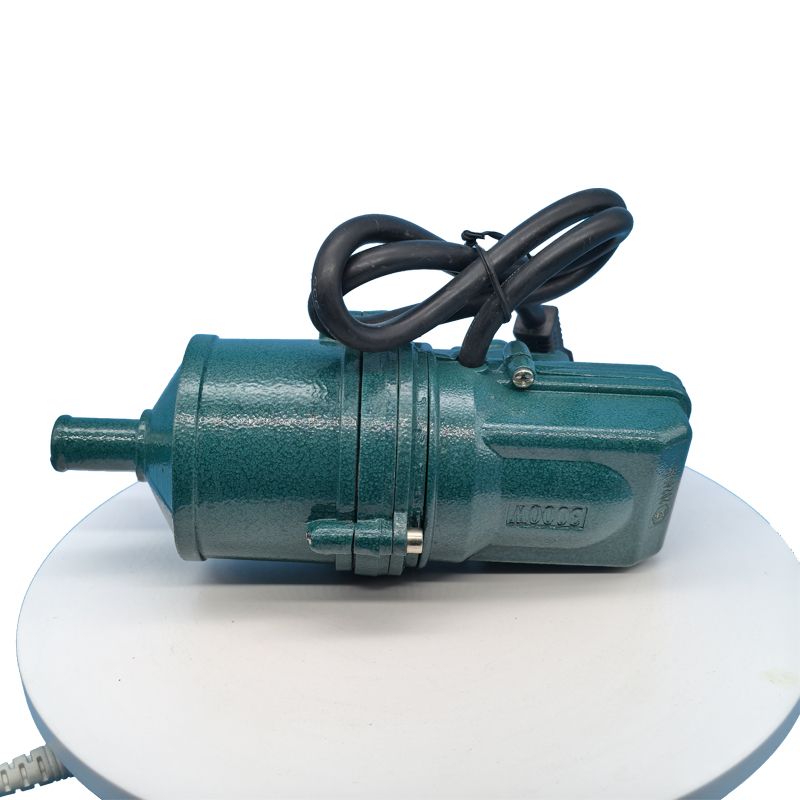 JP 220V 3KW 220V Auto Electric Engine Preheater High Quality Thermostat Auto Car Trucks SUV